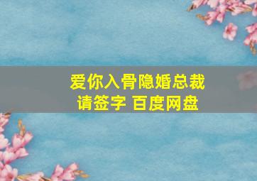 爱你入骨隐婚总裁请签字 百度网盘